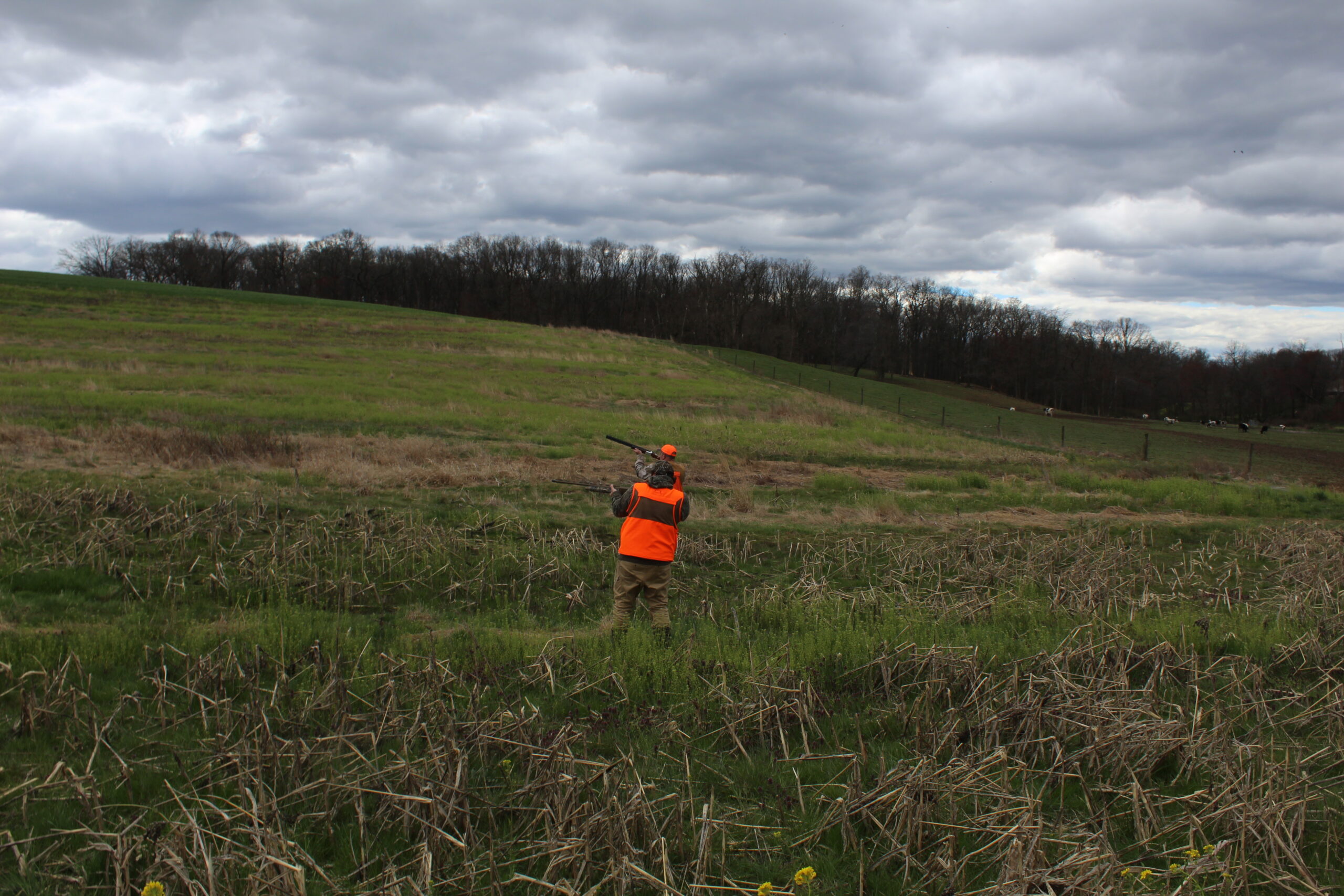 Last Upland Bird Hunt for the Spring 2024 - God's Outdoor Angels Foundation
